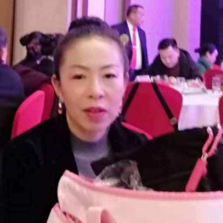 中秋桂花玉兔的第四张照片--石狮交友网